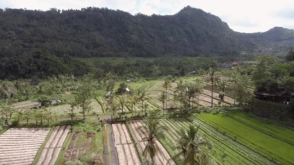 Aerial view of agricultural fields in the countryside, Indonesia. alt