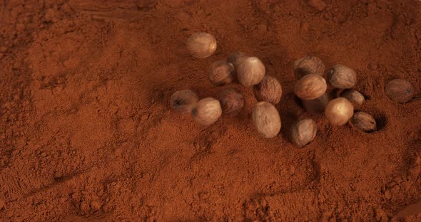 Nutmeg, myristica fragans, Nut falling on Nutmeg Powder, Slow Motion 4K alt