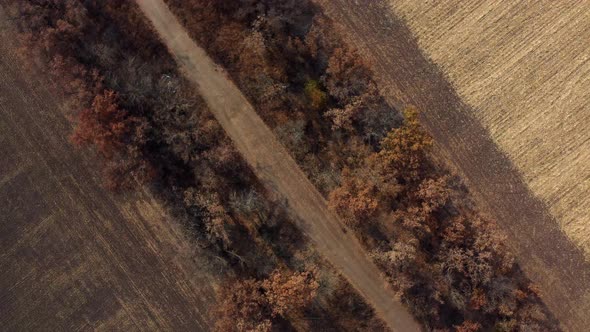 Landscape View of Dirt Rural Road Between Trees Among Fields on Sunny Autumn Day alt