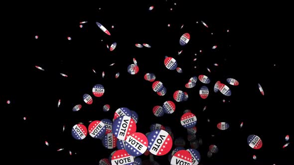 Flying Election Brooches Package alt