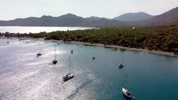 Aerial shot of a sunny beach near a lush forest with sailboats