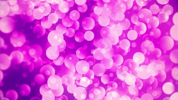 Pink Soft Bokeh Abstract Background