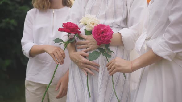 Live Camera Zoom in to Pregnant Belly with Female Hands Stretching Red and White Roses in Slow alt