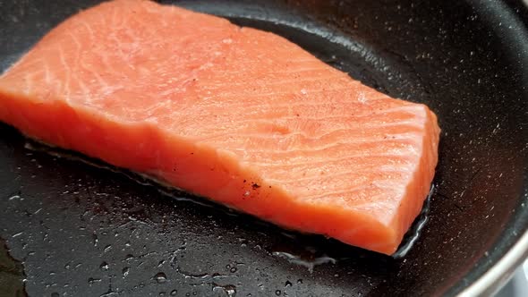 Grilled Salmon Fish On Pan
