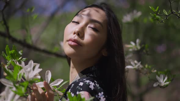 Headshot Portrait of Confident Beautiful Asian Young Woman Posing at Blooming Tree with White alt