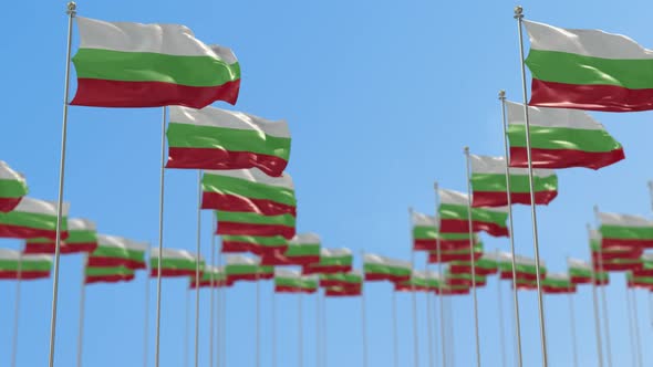 Bulgaria Row Of National flags Walk Throw Animation alt