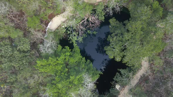 Open Cenote Surrounded with Green Jungle