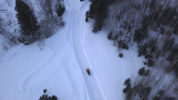 A snowy white forest alt