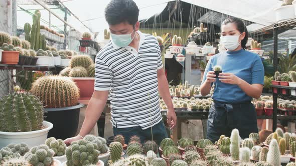 Asian couple at Cactus nursery, selecting from different varieties of indoor Cactus. Slow motion. Fr alt