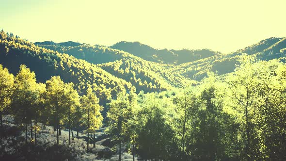 View on Autumn Forest in Mountains and Blue Sky of Switzerland alt