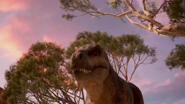 Tyrannosaurus Walks Through the Canyon in the Desert