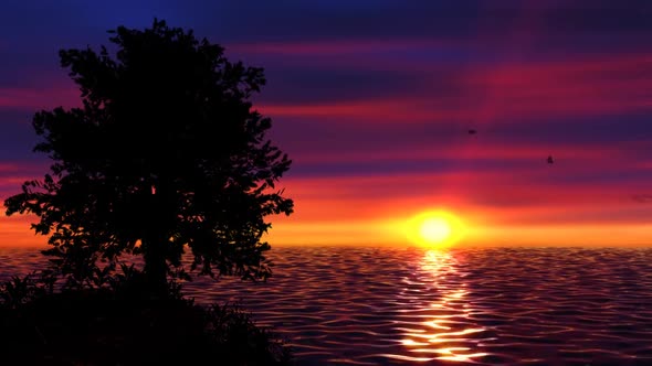 Sunset Background Loop