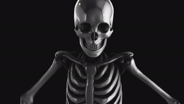 4K Silver dancing skeleton