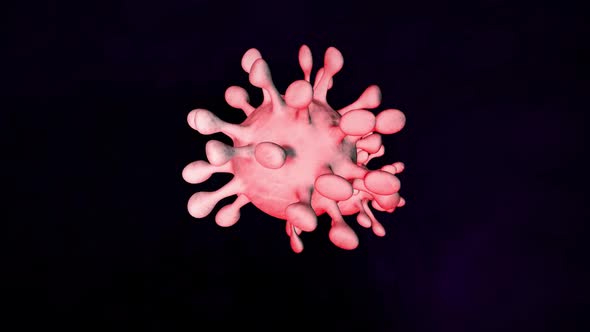 Corona Virus