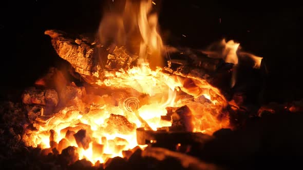 A Metallic Rose Is Pushed in a Flaming Forge in a Smithy Workshop in Ukraine  alt