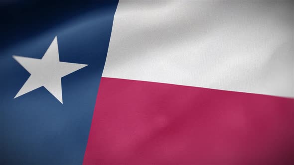 Texas Flag