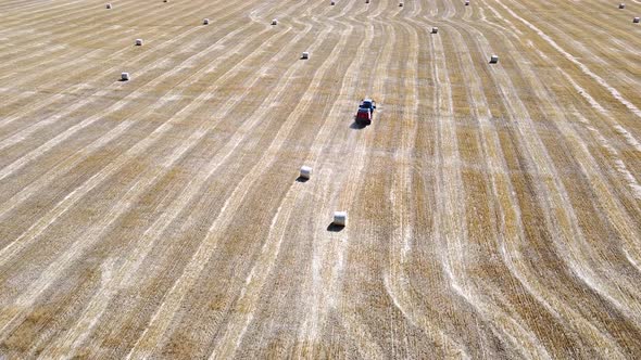 The tractor rides on a mown field. Round bales of straw on the wheat field after harvest