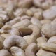 Cashew Kernels - VideoHive Item for Sale