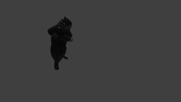 Panther Dancing HD alt