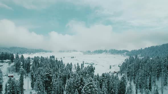 Drone footage of snow-covered trees, winter nature beautiful India aerial view pine forest mountain