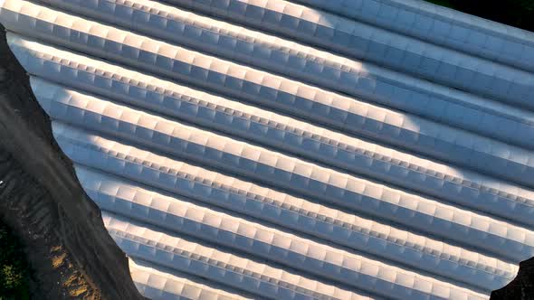 Banana greenhouse aerial view 4 K Alanya Turkey alt