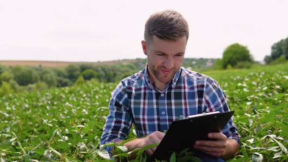 Agronomist Inspecting Soya Bean Crops Growing in the Farm Field alt