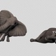Elephant Death Pack (Pack of 4) - VideoHive Item for Sale