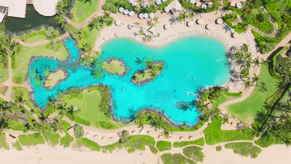 Aerial View Drone Shot of Coconut Palm Trees at Pool in Oceanfront Resort Hawaii alt