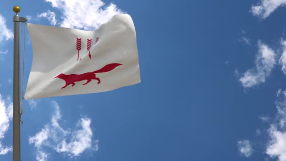 Saransk City Flag (Russia) On Flagpole alt