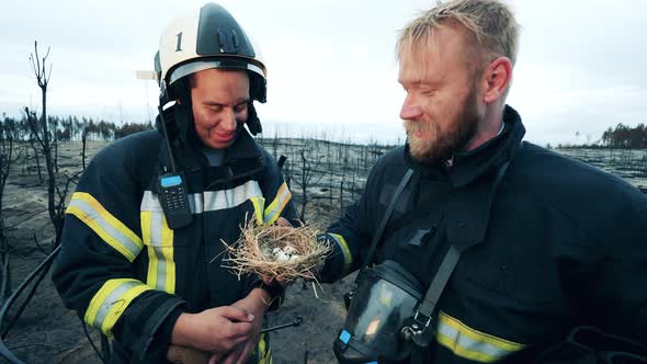Firefighters are Smiling While Looking at a Bird's Nest alt