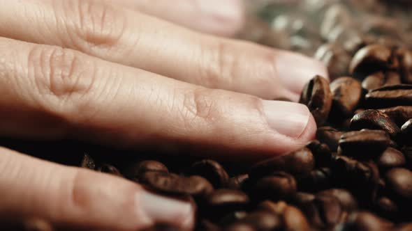 Hand Touching Roasted Coffe Beans in Factory alt