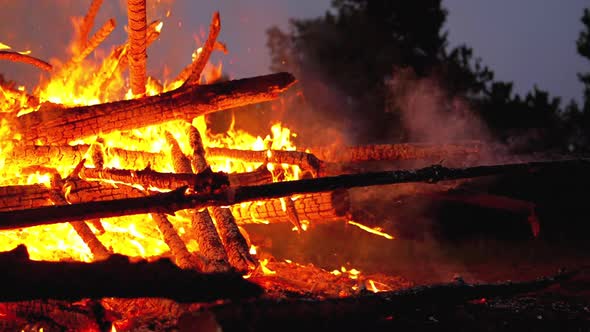 Big Bonfire of the Logs Burns at Night in the Forest alt