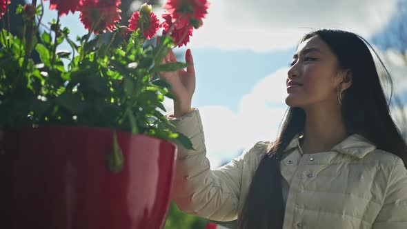 Side View of Happy Asian Smiling Woman Touching Tender Petals of Red Flowers in Pot in Summer Spring alt