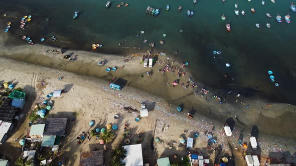 Tropical coastline with many people sorting and taking freshly caught fish, aerial top down view alt
