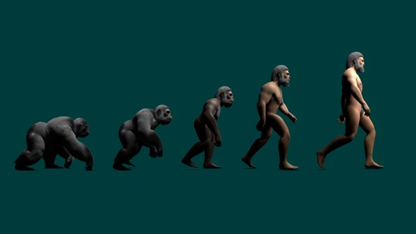 Human Evolution 4K by hoodedmanpost | VideoHive