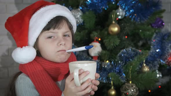 Check Body Temperature at Holiday alt