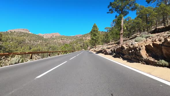 Sunny highway through lanscape with trees, Tenerife, Spain alt