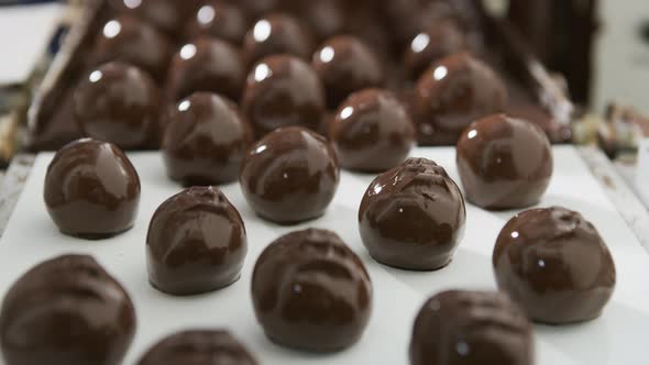 Chocolate truffles on a conveyor belt at candy factory