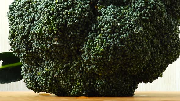 Shooting of Broccoli alt