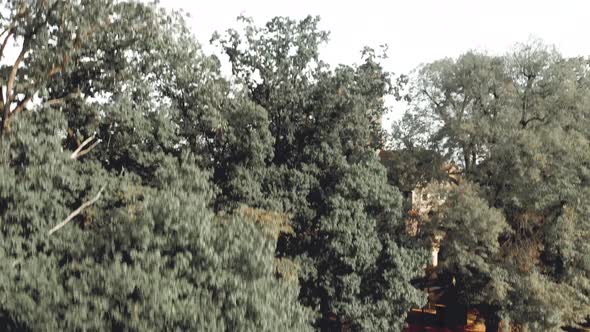 Bamberg Altenburg Castle in Summer Season Germany alt