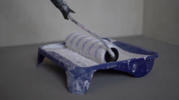 Roller is Moistened with White Paint Poured Into a Pallet alt