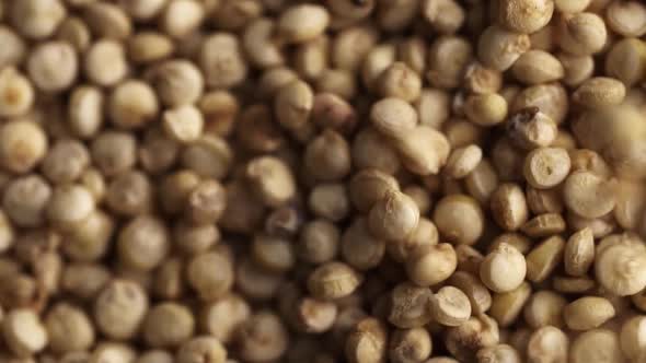 Quinoa seeds macro. alt