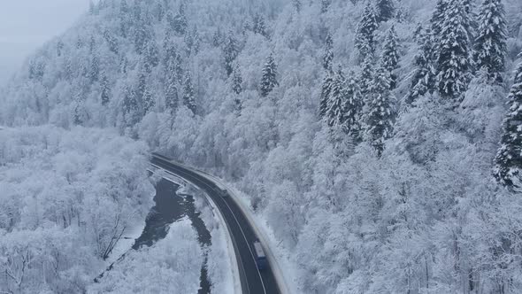Aerial shot: buses are driving by the road in winter forest.