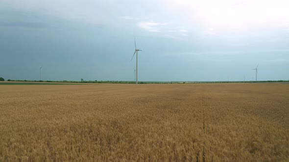 Wind turbines across wheat field alt