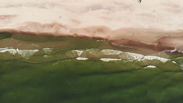 AERIAL: Vertical shot of green Baltic sea and sandy sunny beach alt