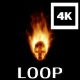 Fire Skull 4k - VideoHive Item for Sale