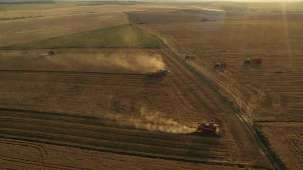 Running Harvesters At Sunset alt