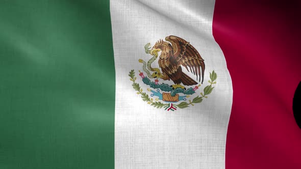 Mexico Flag alt