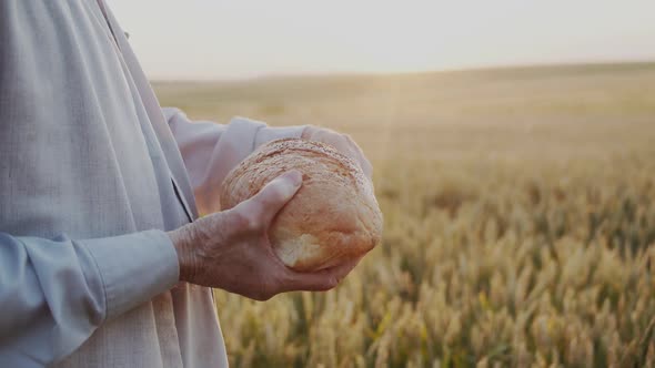 Unrecognizable Senior Man Raises a Loaf of Bread to the Sun in Wheat Field alt