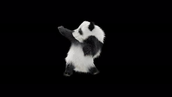 Panda Dancing 4K alt